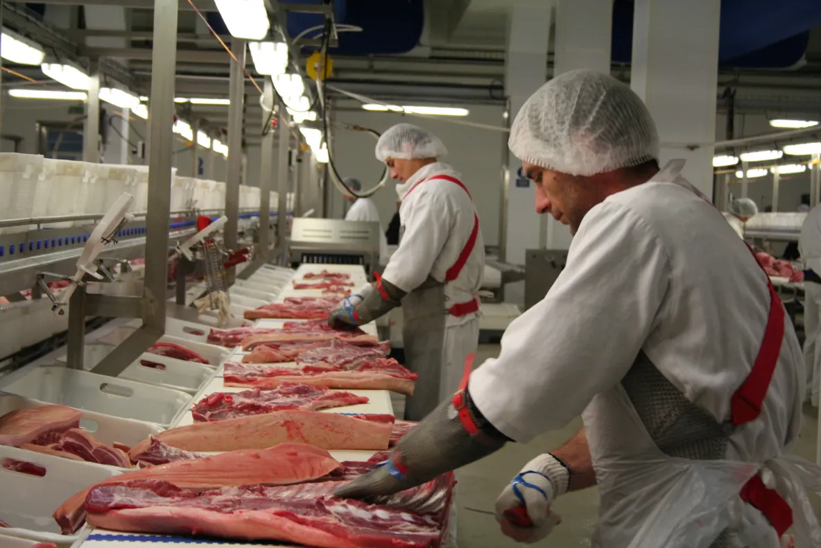 DSVSA Satu Mare: Nereguli constatate la o brutărie din Cămărzana și un magazin alimentar din Satu Mare