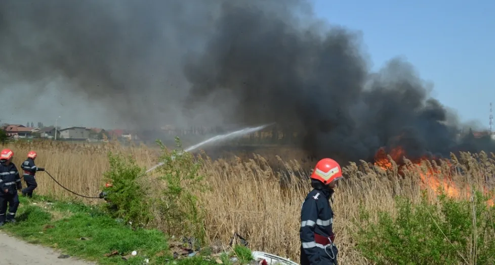 Incendiu de amploare în zona de agrement Bercu Roșu