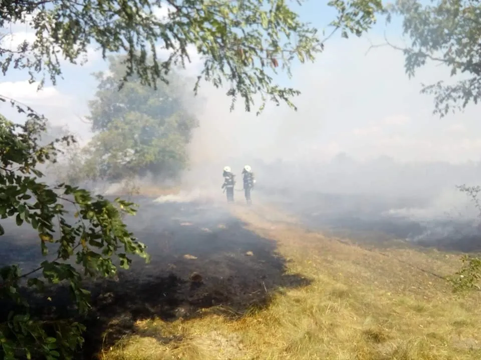 Incendiu de vegetație uscată în județul Satu Mare