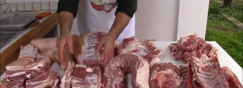 Un porc dintr-o gospodărie din Turţ, diagnosticat cu trichină