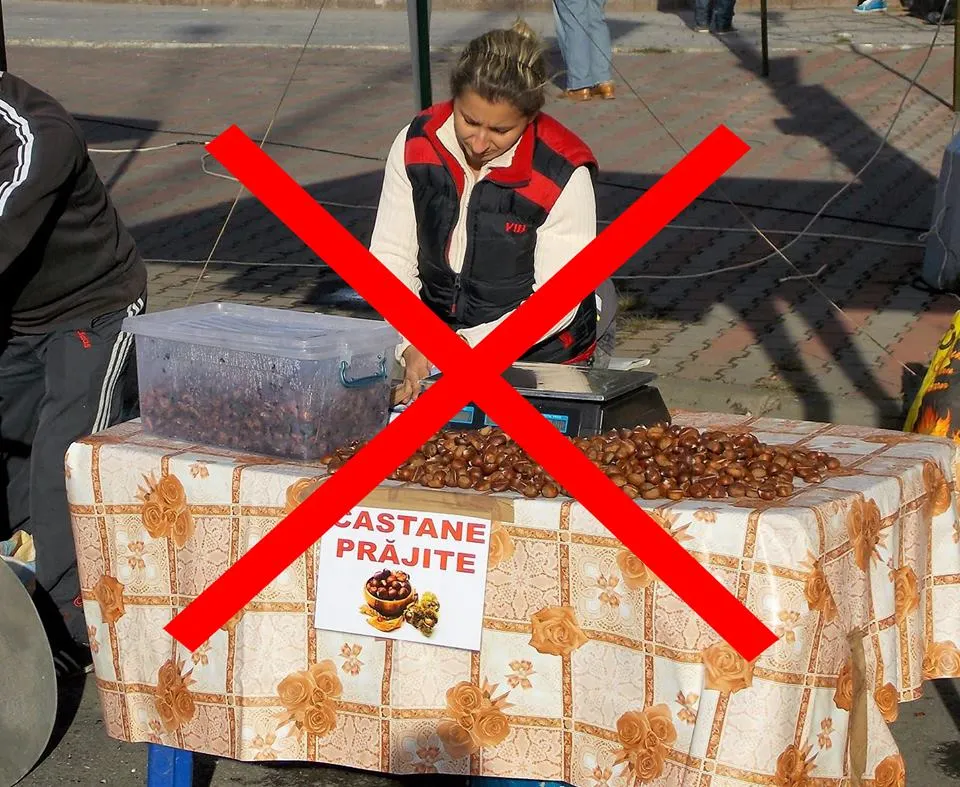 Primăria Satu Mare a decis: fără castane și flori la colț de stradă