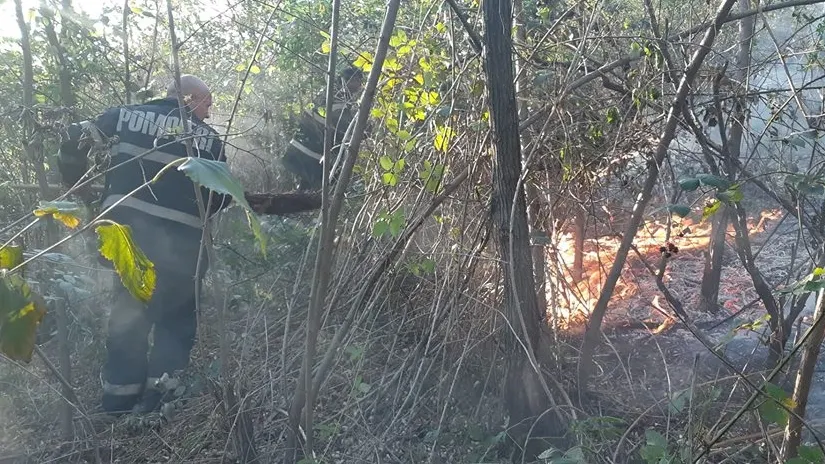 Incendiu de amploare în Prilog Vii. Pompierii au luptat mai bine de trei ore cu focul