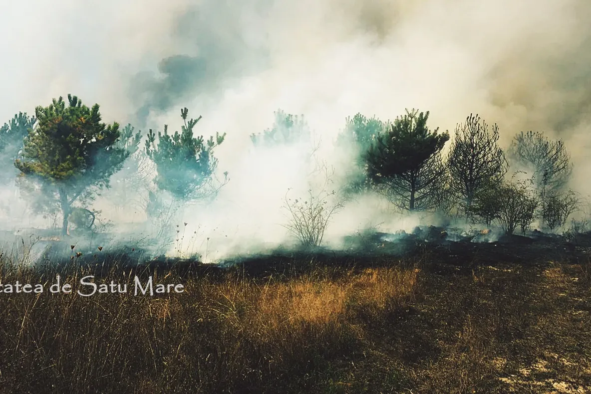 Incendiu de proporții în Bârsău. Au ars trei hectare de pădure