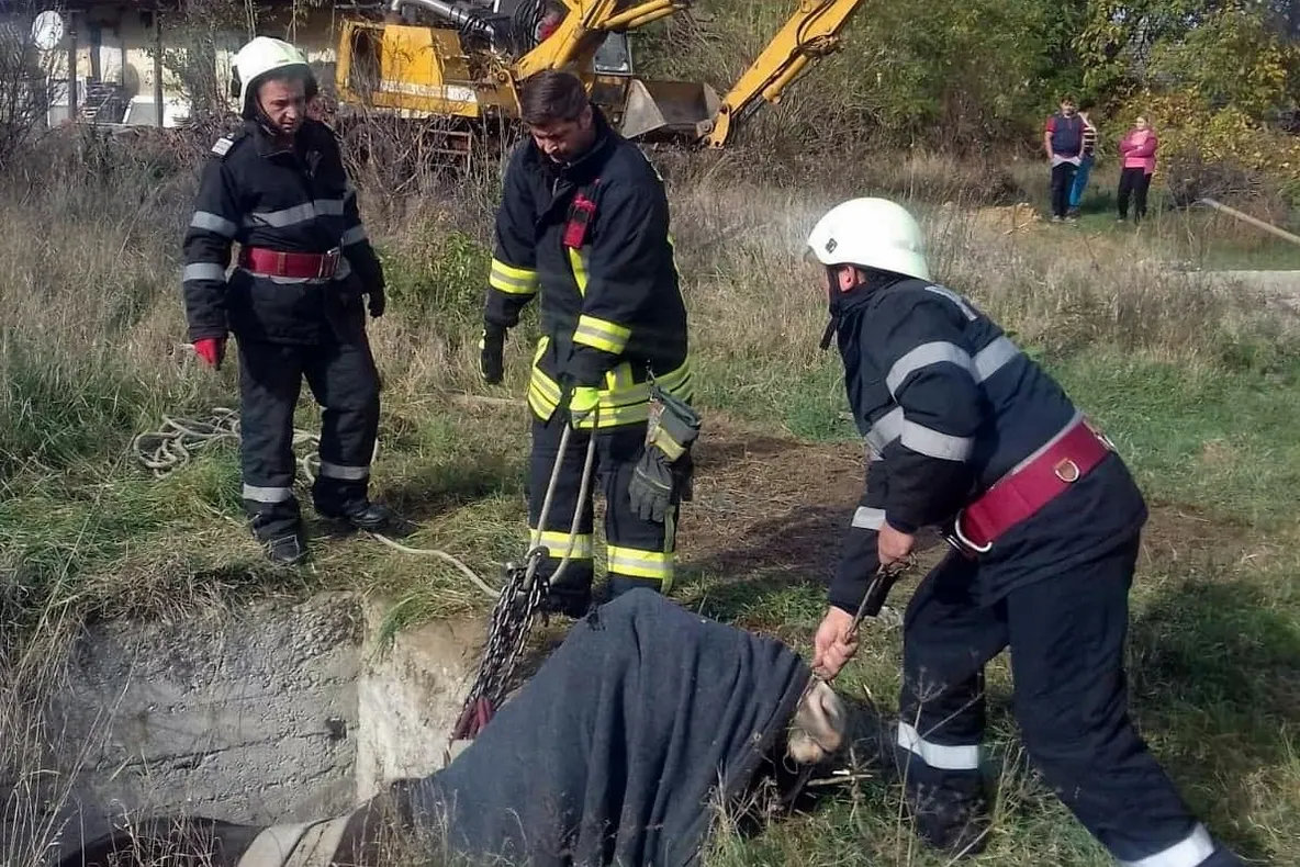 Cal salvat dintr-o fosă septică, în Sanislău
