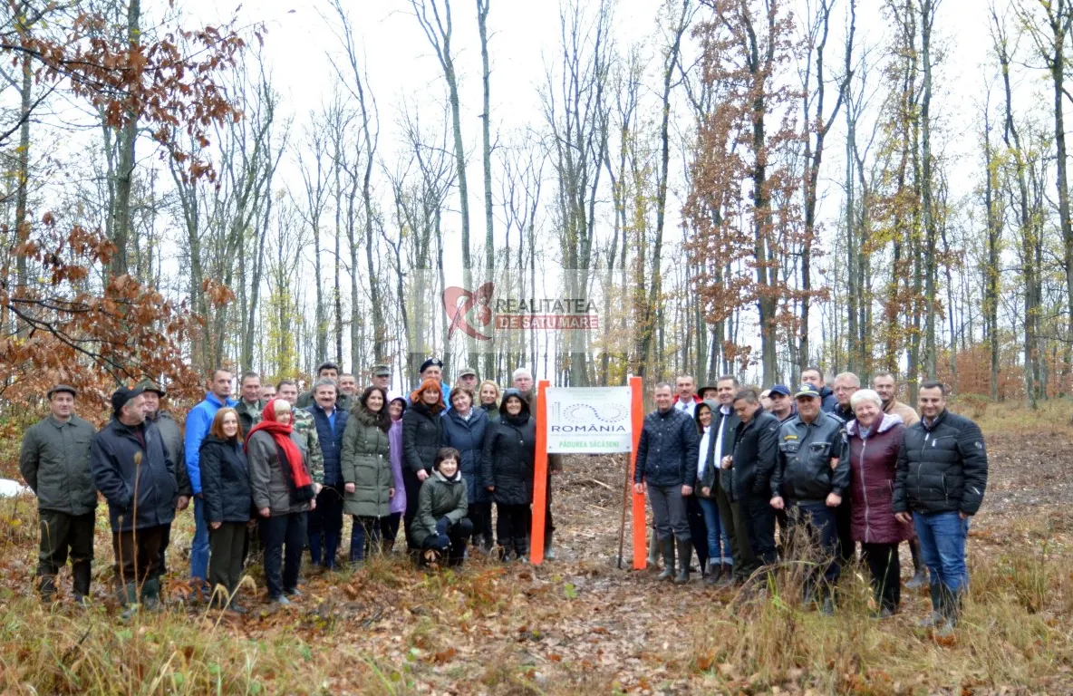 100 de stejari plantați în județul Satu Mare, în cinstea Centenarului Marii Uniri