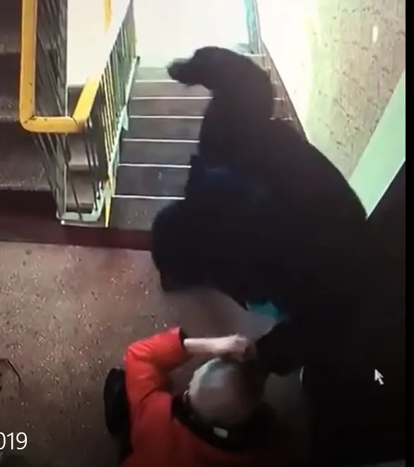 A tâlhărit un bătrân în plină stradă