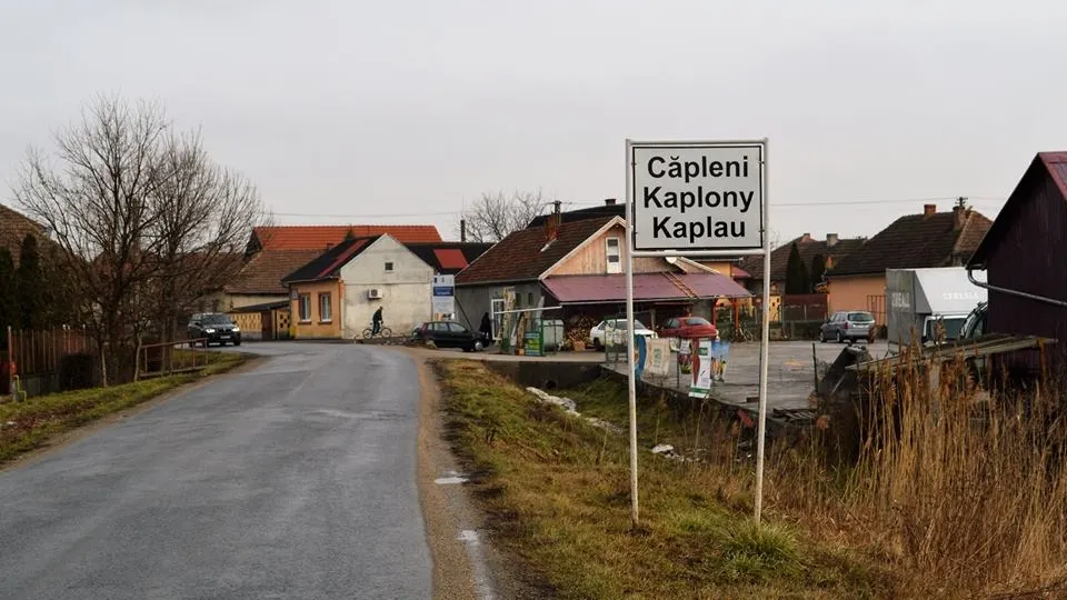 Drumul județean Carei – Căpleni se modernizează