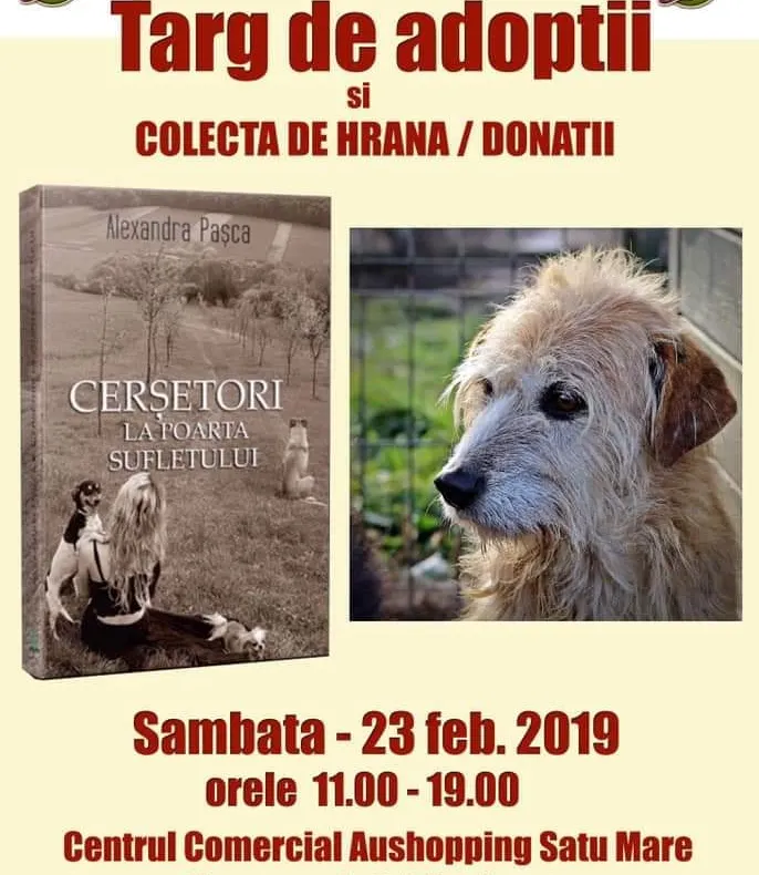 Asociația Freelife Satu Mare organizează un nou târg de adopții. Vino să-ți alegi un prieten!