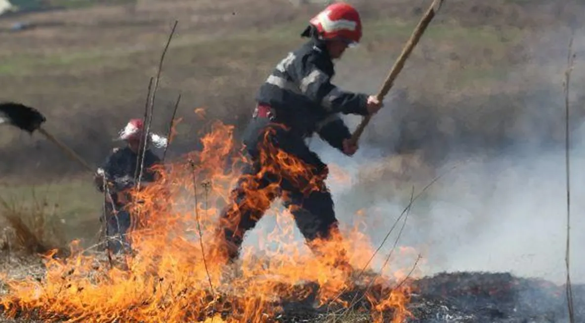 Incendiu de vegetație în municipiul Satu Mare