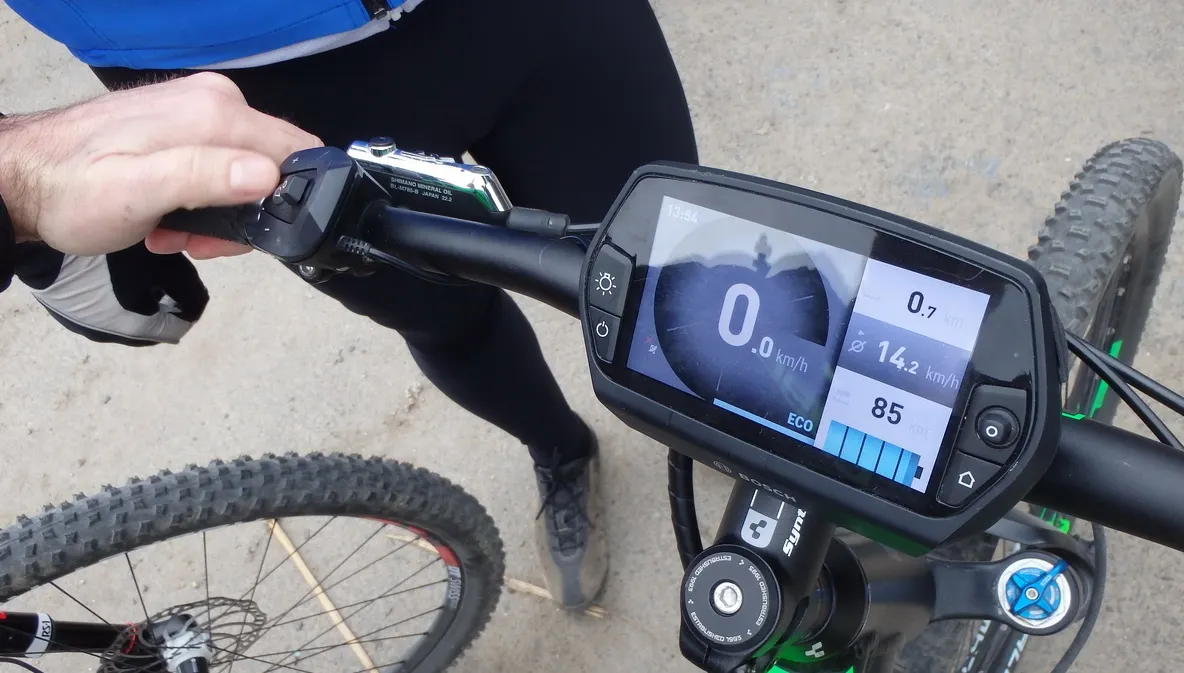 Un careian a căzut cu bicicleta electrică. Polițiștii i-au întocmit dosar penal