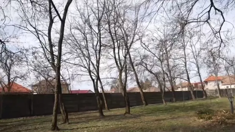 Tunel de flori și patinoar mobil în parcul din Carei