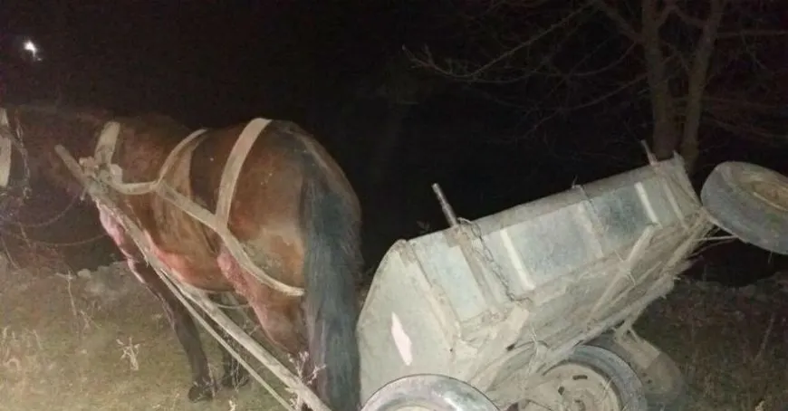 Un căruțaş din Tarna Mare şi-a pierdut viața