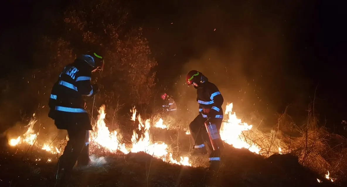 ISU Satu Mare | Incendiile de vegetație, extrem de periculoase. 17 în doar ultimele 14 zile