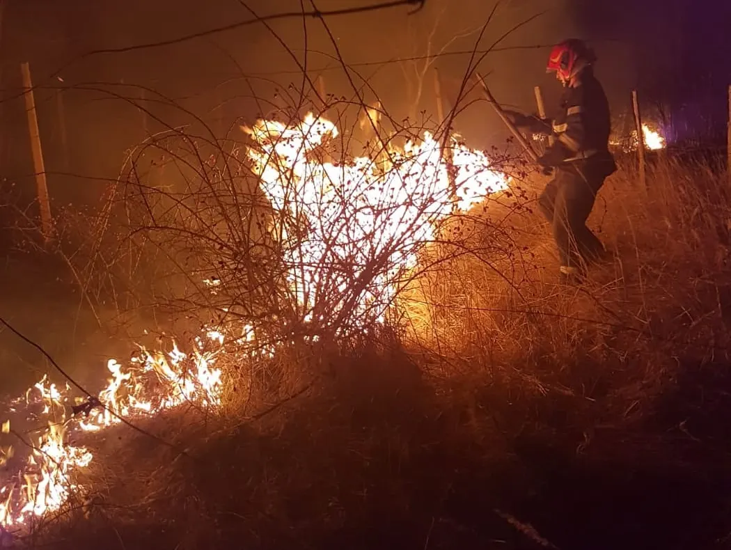 Incendii de vegetație uscată în județ. Au intervenit pompierii