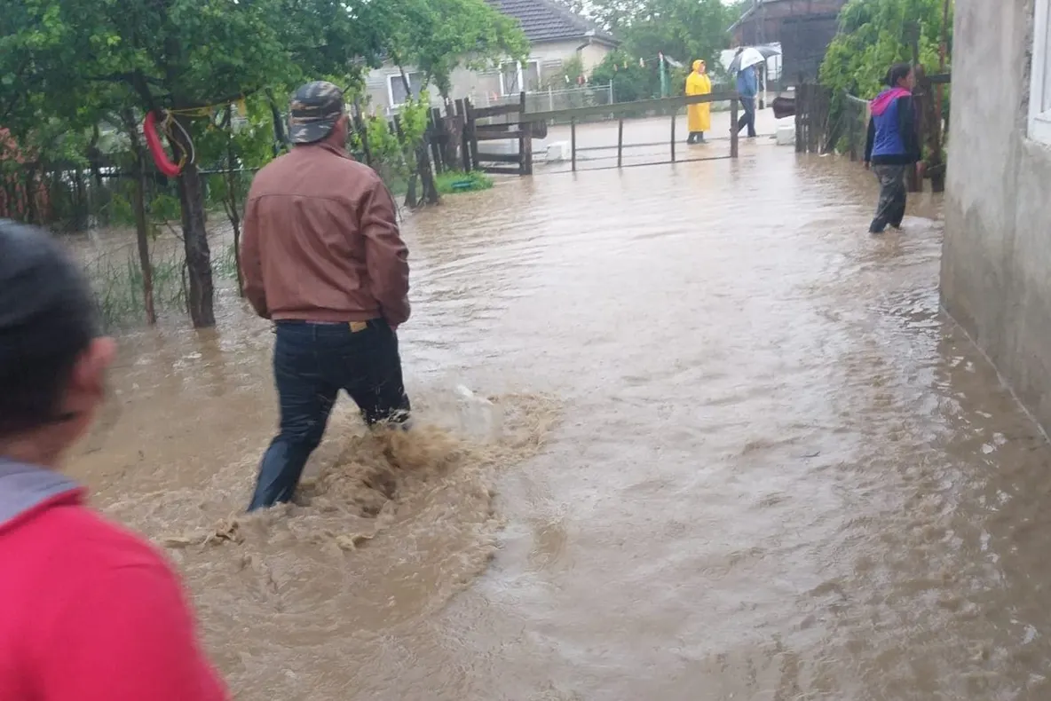 Ploile au inundat mai multe gospodării și au blocat un drum din județul Satu Mare