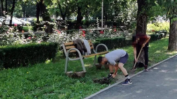 Tinerii care au vandalizat băncile și coșurile de gunoi au reparat azi pagubele produse