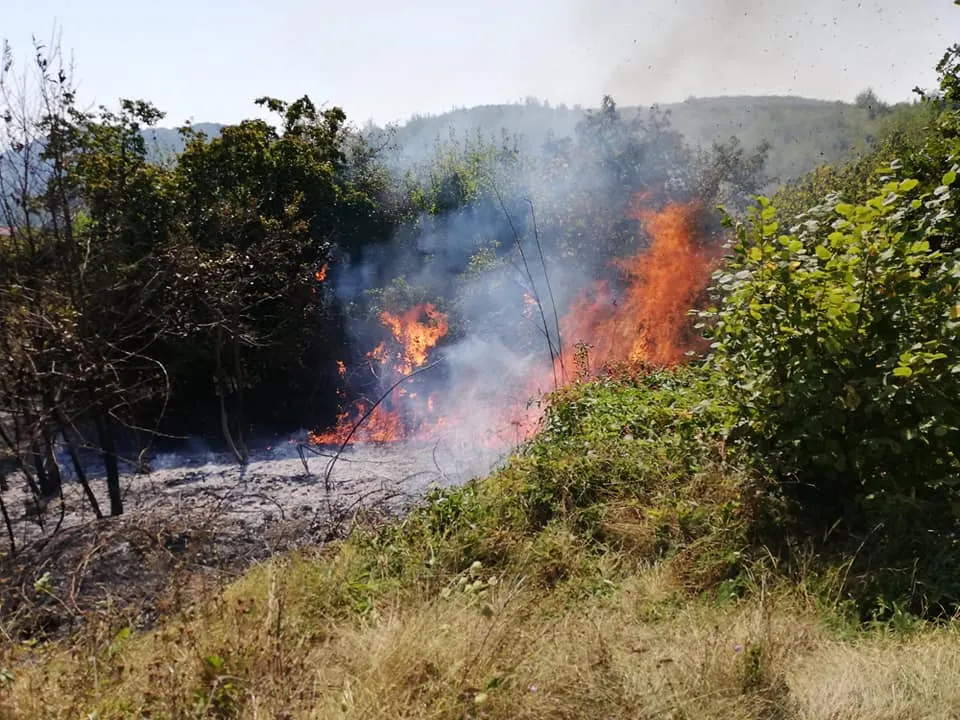 Incendiu de vegetație uscată în Orașu Nou
