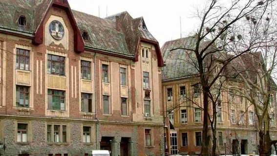 Un tânăr a agresat patru angajate de la un centru de îngrijire din Carei