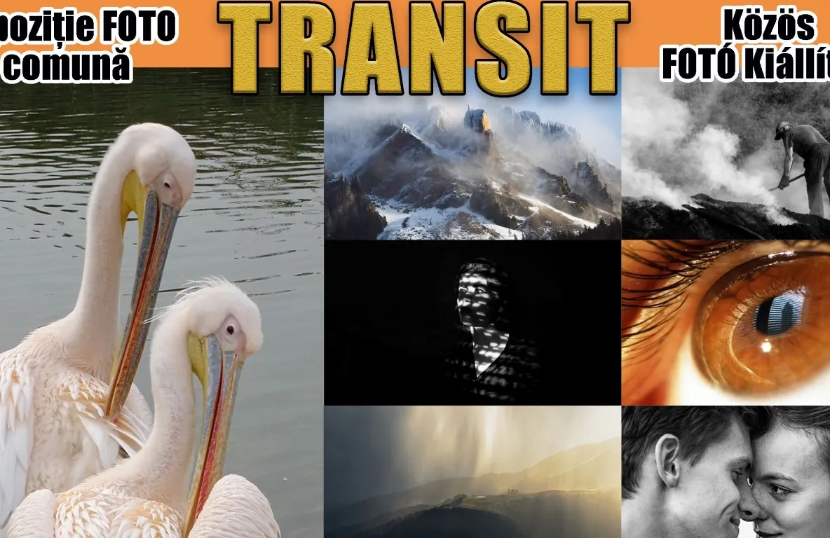 Artiști fotografi din Carei și Nyíregyháza expun la Satu Mare
