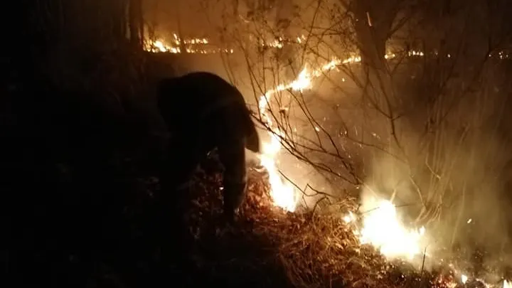 Cinci hectare de lizieră de lângă Certeze și Huta Certeze au ars