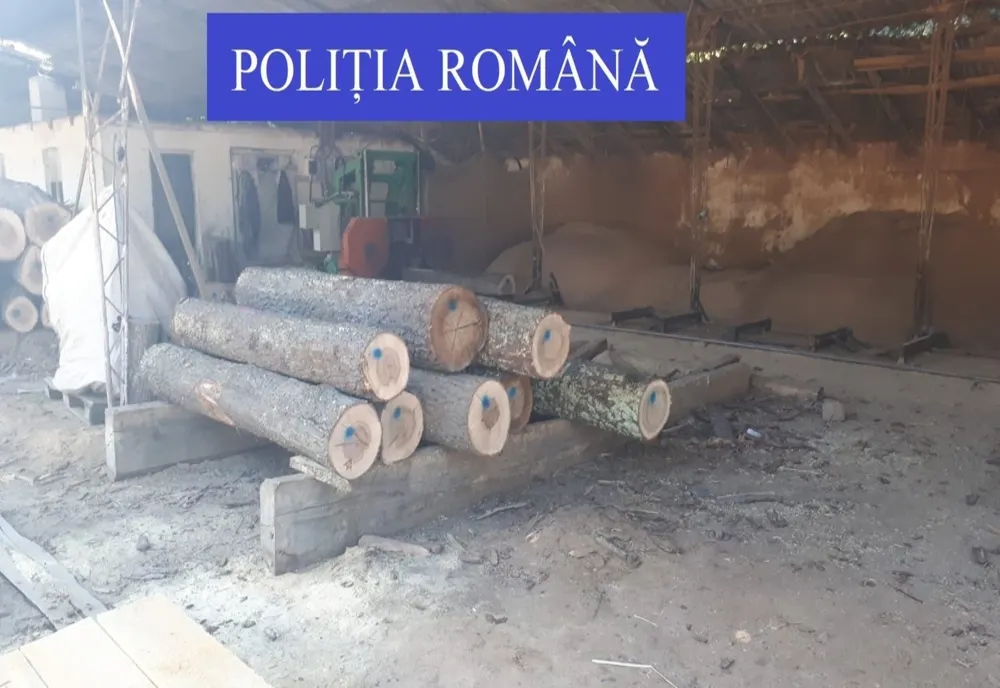 Acțiuni silvice în județ. Ce sancțiuni au dat polițiștii