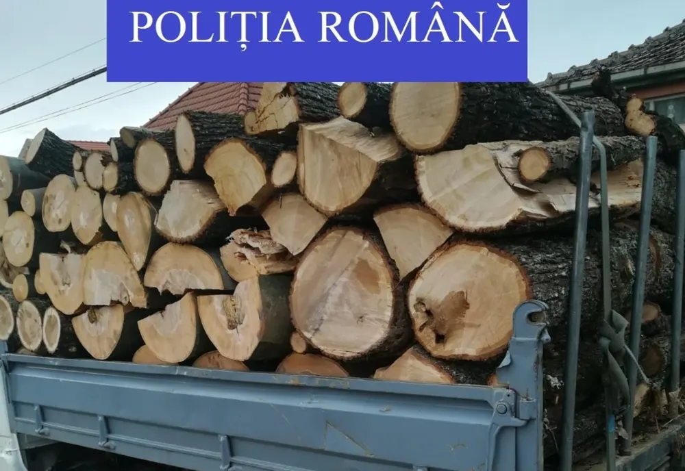 Hoţi de lemne, prinşi în flagrant. Autorii, un bărbat și un minor