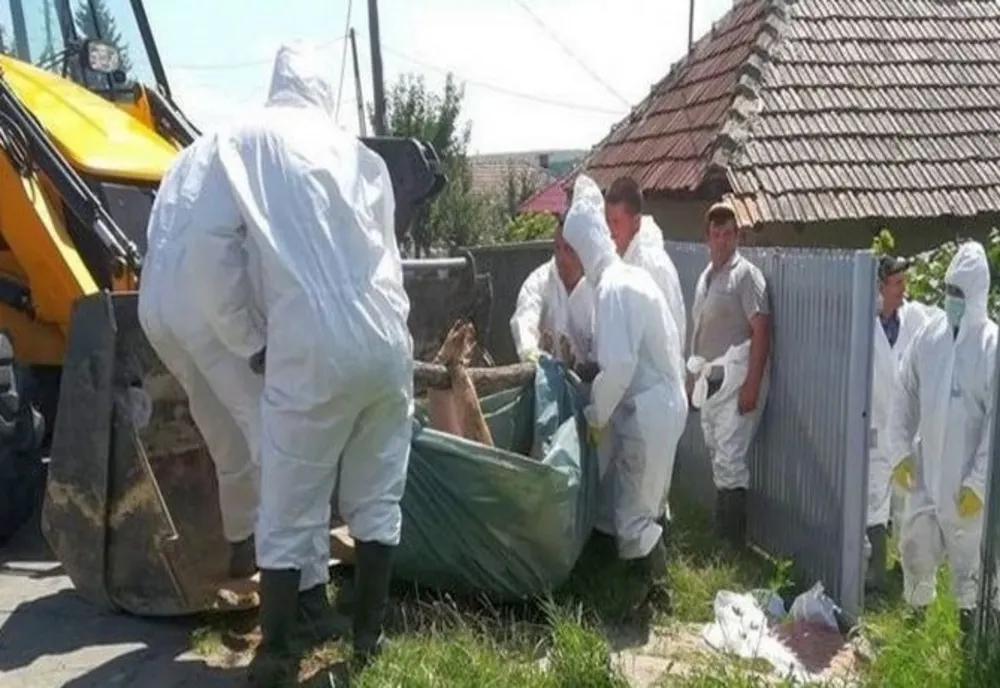 Medic veterinar din județ amendat de DSVSA Satu Mare