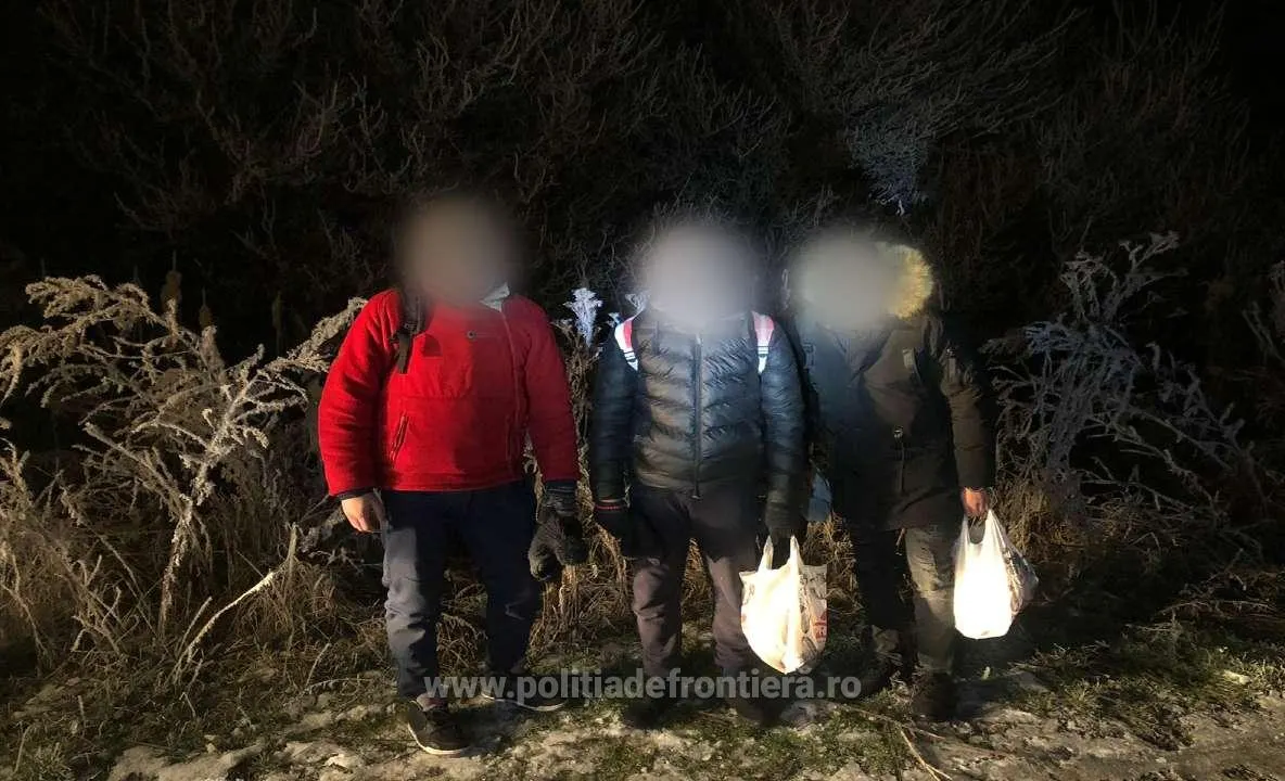 Patru cetăţeni din Algeria şi unul din Libia, opriți de poliţiştii de frontieră în Satu Mare