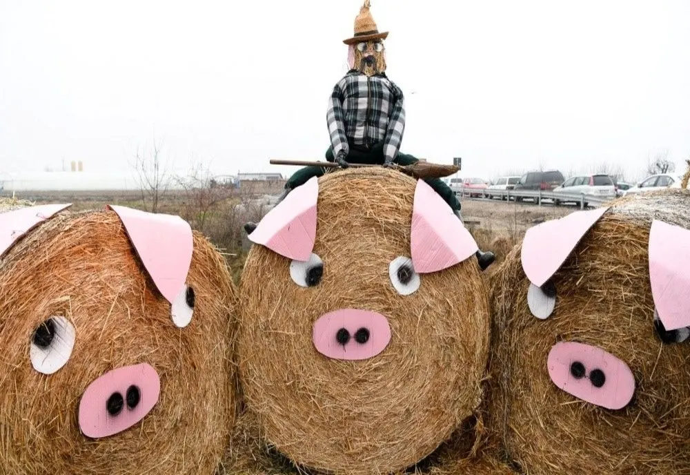 Peste 30 de echipe s-au întrecut la tradiționalul concurs de tăiat porci organizat de UDMR, la Halmeu