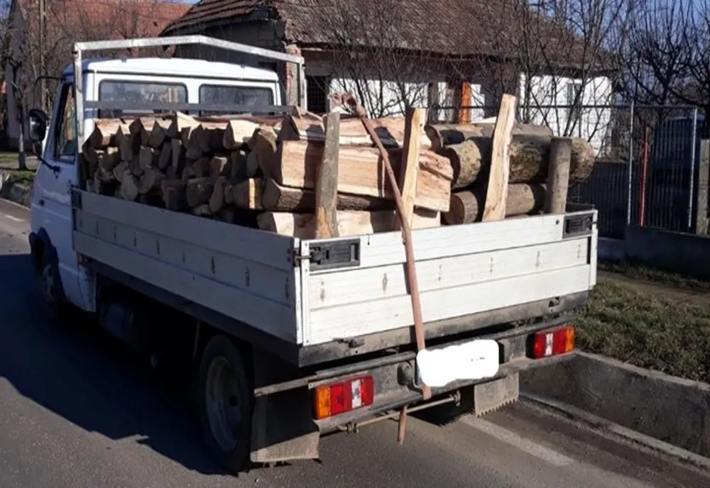 Prinși cu mașinile pline cu lemne furate