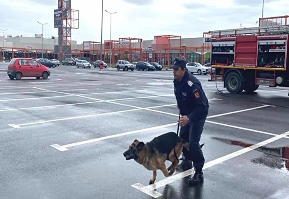 Exercițiu | Câinele Mepa - salvatorul zilei în Satu Mare 
