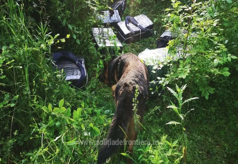 Mai multe colete cu țigări abandonate în județul Satu Mare de contrabandiști ucraineni