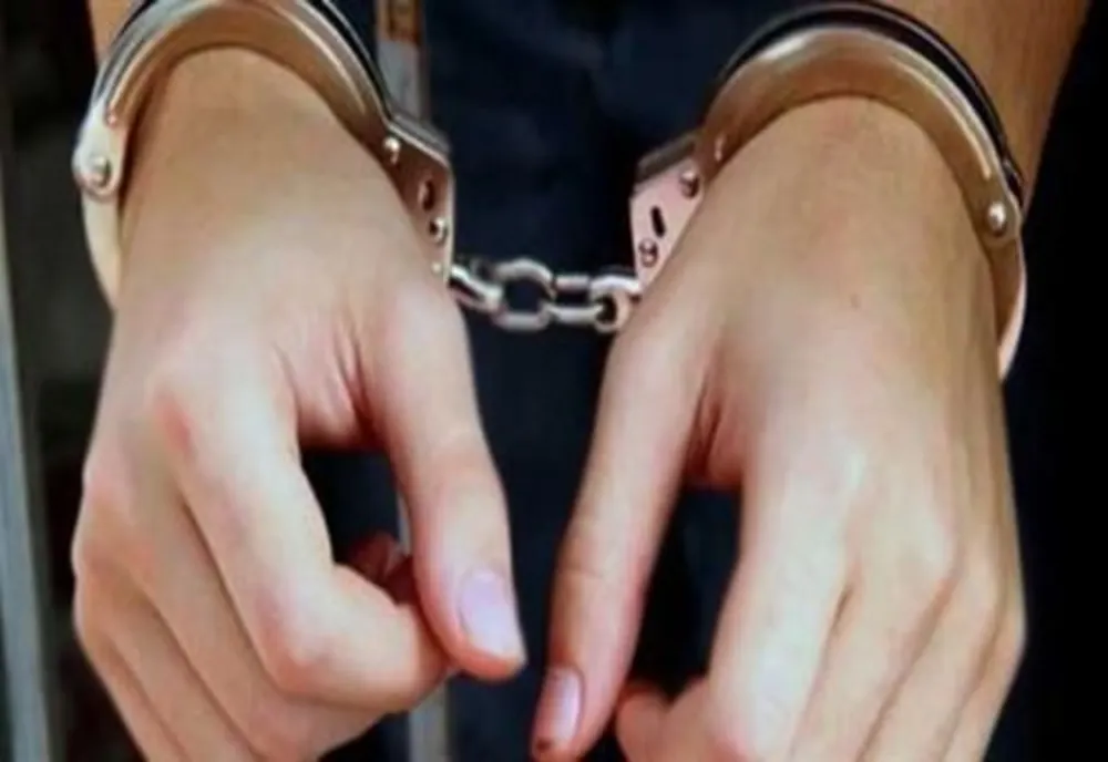 Tânără reținută de polițiști după ce a furat sute de euro dintr-o locuință din Ardud