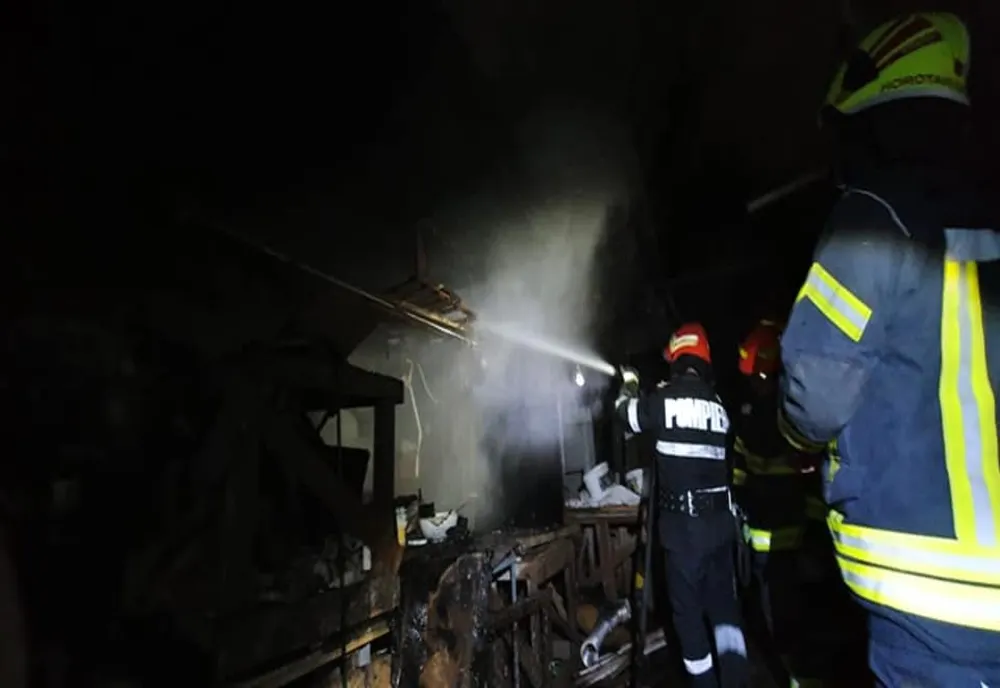 FOTO | Incendiu la o afumătorie din Satu Mare