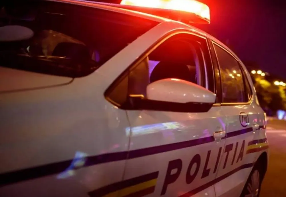 Bărbat din Satu Mare, în vârstă de 84 de ani, cercetat pentru deţinere ilegală de arme