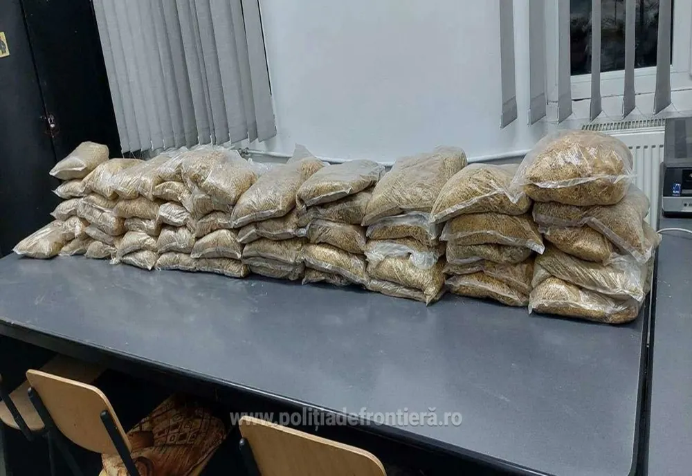 Doi sătmăreni prinşi cu 25 de kilograme de tutun în PTF Urziceni (FOTO)