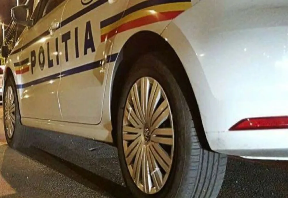 Sătmărean, reținut pentru furt