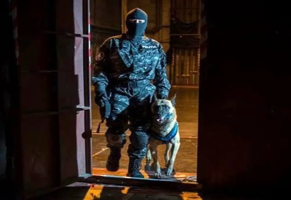 FOTO: Aproape 40 de percheziții, efectuate de polițiști și procurorii DIICOT în județele Satu Mare și Maramureș, la traficanți de droguri! Cinci persoane, reținute