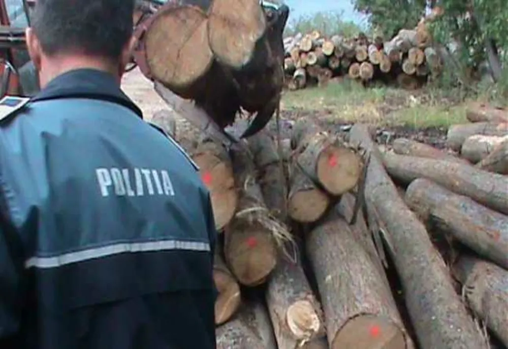 Lemne transportate de doi şoferi din Turţ, confiscate de poliţişti
