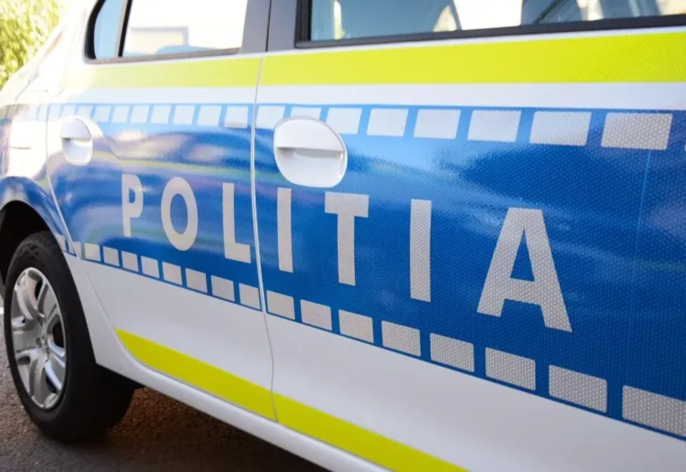 Tânără din Carei, cu dosar penal pentru furt