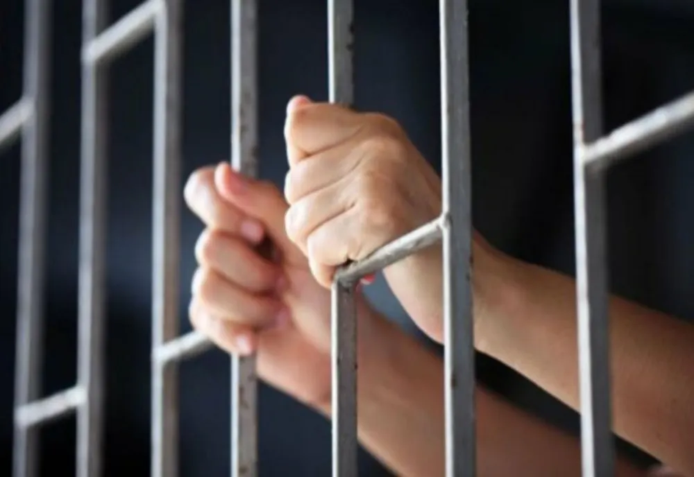 Bărbat din Satu Mare condamnat la închisoare pentru violenţă în familie