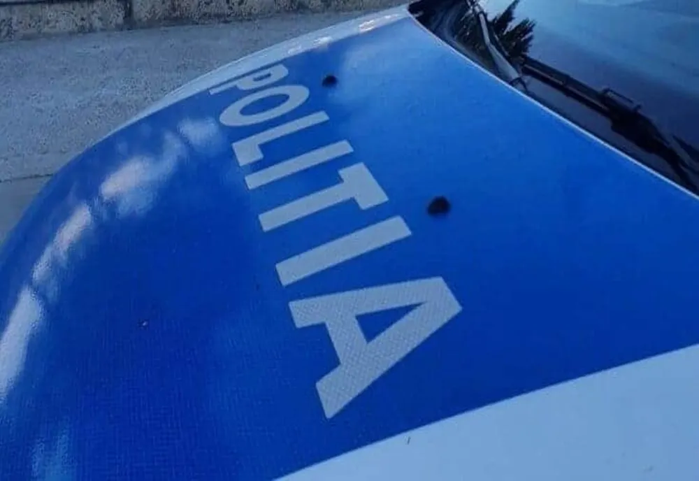 Doi sătmăreni violenți nu mai au voie să se apropie de părinți! Instanța a emis ordine de protecție 