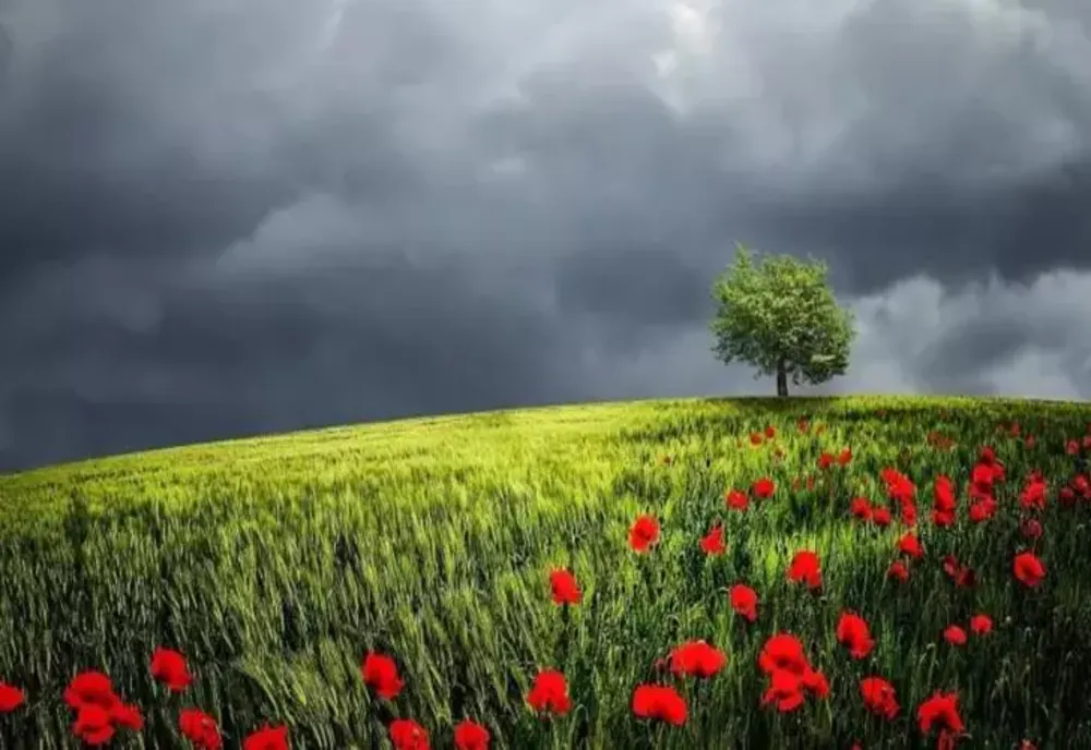 Prognoza meteo 8 iunie. Vreme caldă, dar instabilă - zonele lovite de furtuni cu grindină