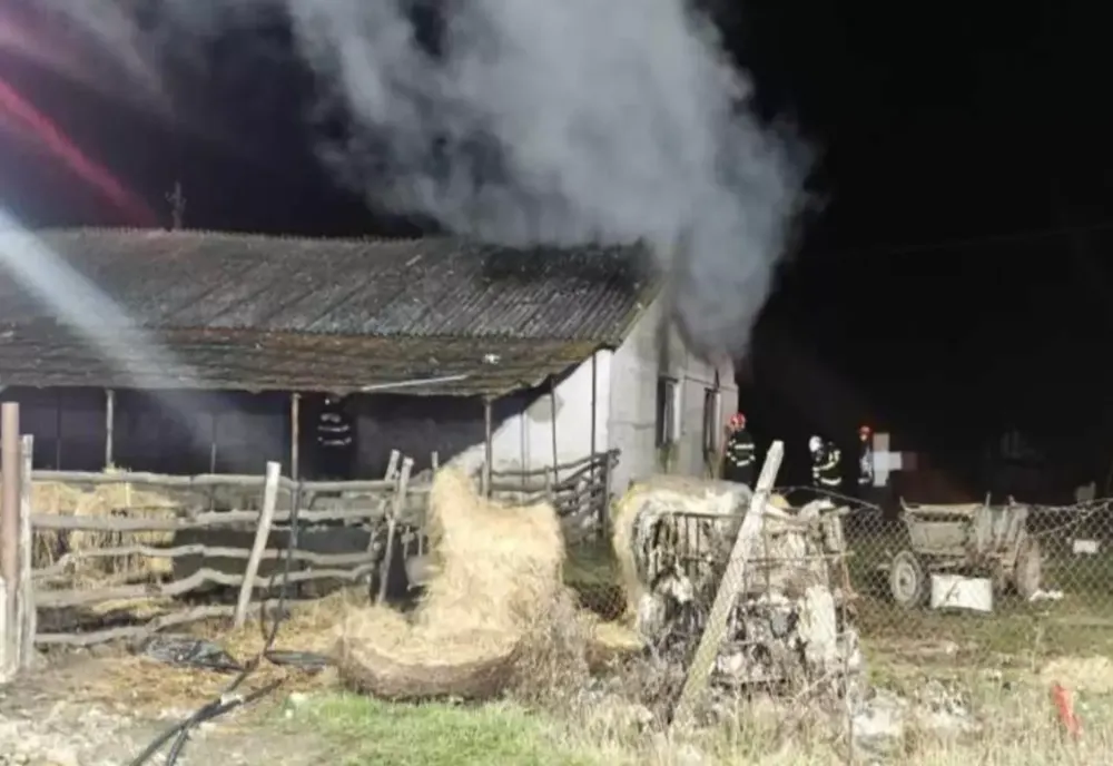 Incendiu suspect la o fermă din Satu Mare