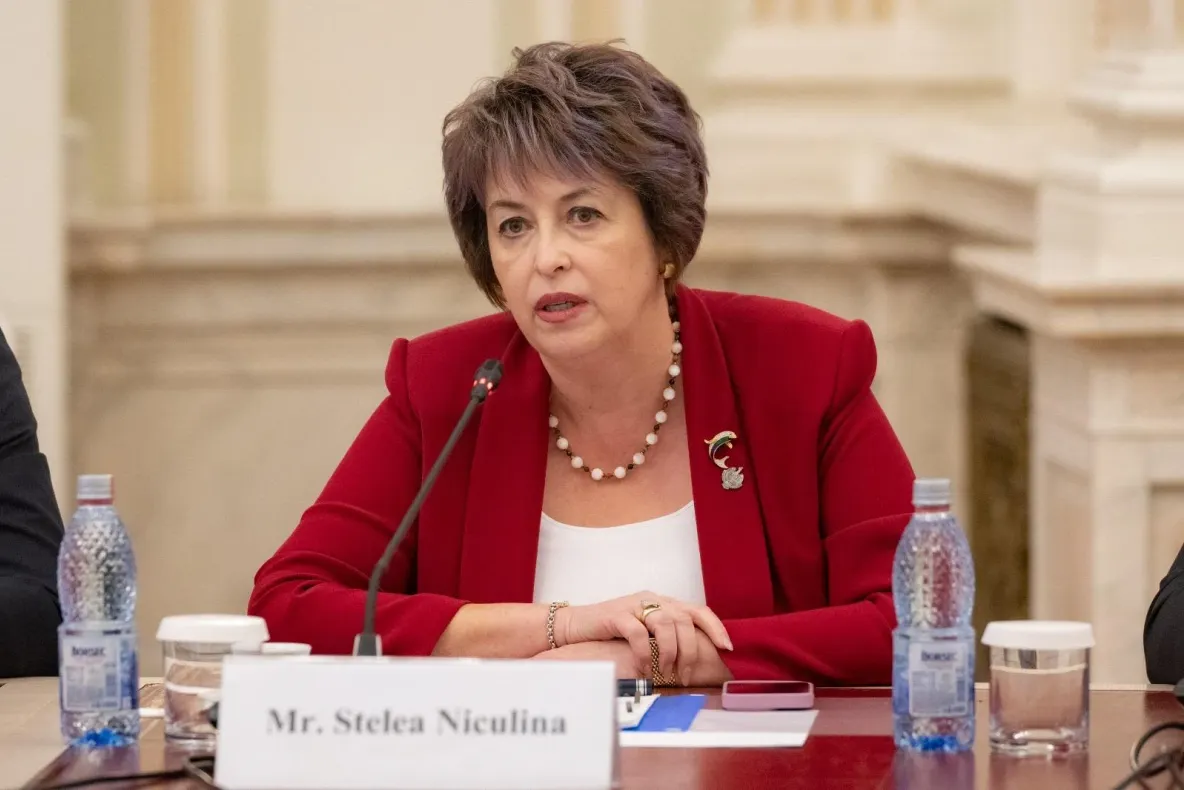 Niculina Stelea (AUR): „În contextul dezastrului de la ANCPI, Parlamentul să prelungească urgent regimul tranzitoriu privind cota redusă de TVA”