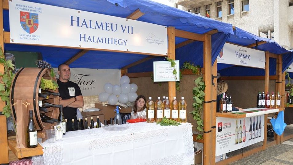 Cei mai buni producători de vin din județul Satu Mare, premiați