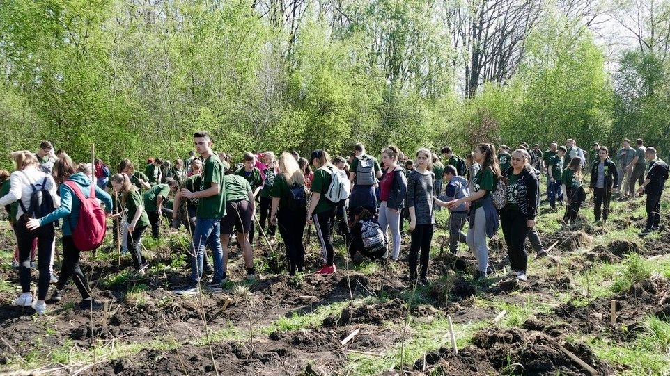 Elevii sătmăreni, pe locul al doilea la categoria Plantare, în cadrul Concursului Național ecOprovocarea