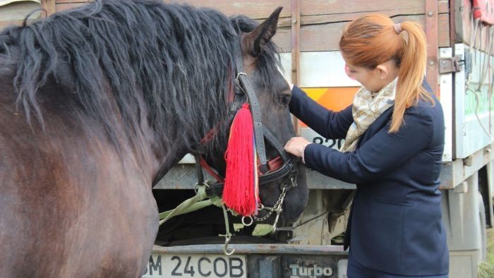 Ministrul Tineretului și Sportului, Ioana Bran, a participat la concursul de cai de la Rușeni