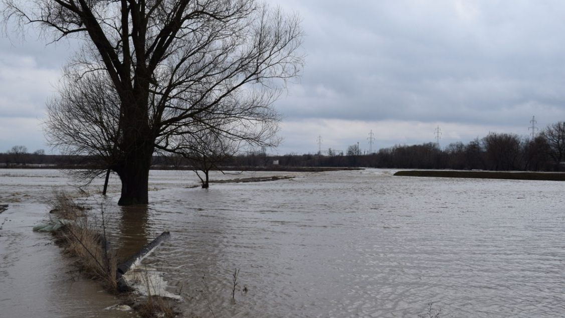 Cod portocaliu de inundații în județul Satu Mare