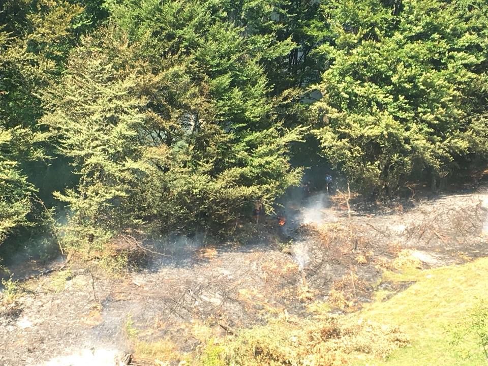 Pădure salvată de la incendiere